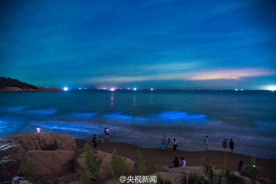 急速变色龙